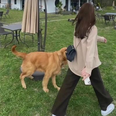 异形总动员